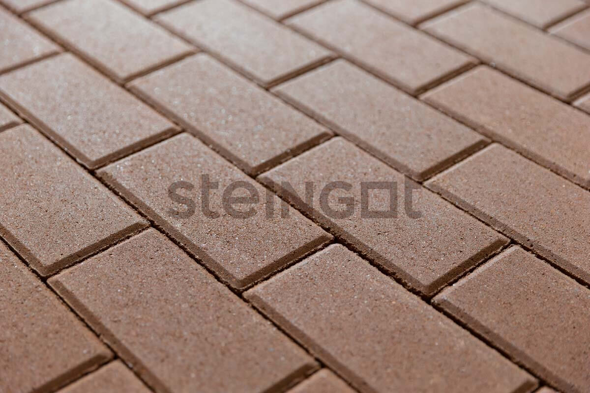 Брусчатка Steingot Прямоугольник 200х100х60 серия Практик 60 Коричневый частичный прокрас — изображение 3