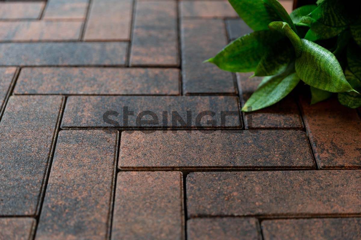 Брусчатка Steingot Прямоугольник 300х100х80 серия Сити 80 Колор микс Тигр